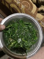 IMG_0170.jpeg