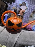 IMG_1323.jpeg