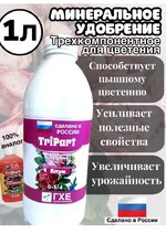 Screenshot_20260121_222339_com.wildberries.ru_edit_160085102277656.jpg