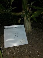IMG_20260809_204928.jpg