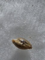 20260904_085020.jpg