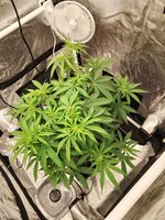 IMG_20260908_093510.jpg
