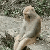 triste-isolado.gif